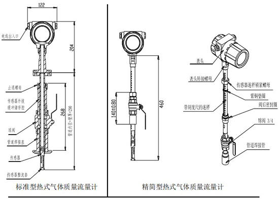 煙氣熱式流量計(jì)插入式結(jié)構(gòu)圖